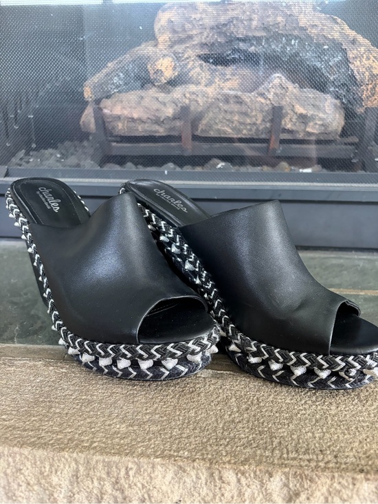 Charles By Charles David Shoes - Charles By Charles David Black Open-Toe Braided Platform Wedge Mules